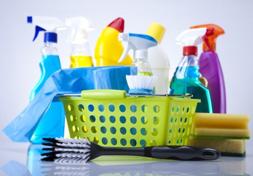 Carpet cleaner preparing equipment with safety focus in a home interior
