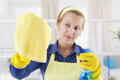 Professional upholstery cleaning in a Hadley Wood living room