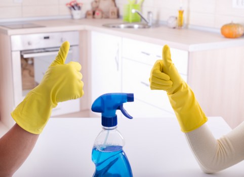 Carpet cleaning team in Hadley Wood using sustainable waste-sorting practices
