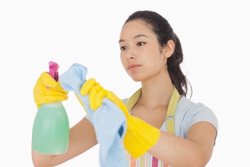 Trusted payment methods and security icons for cleaning services