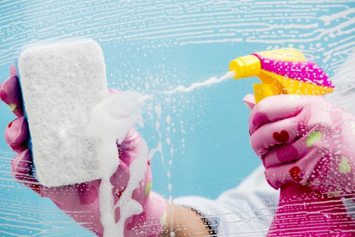 Waste handling and safe disposal during carpet cleaning service