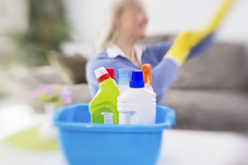 Careful treatment of a delicate rug during cleaning