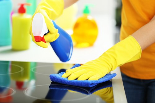 Professional carpet cleaning process in a home interior